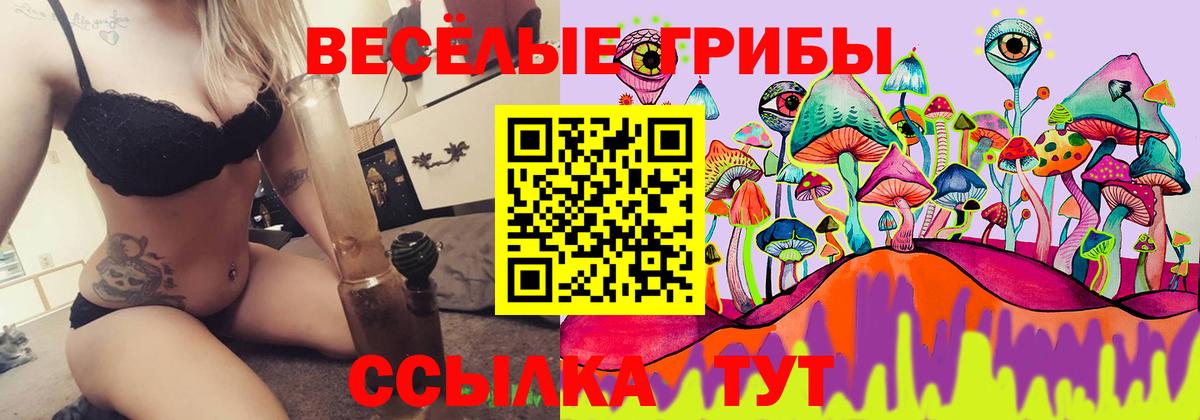 Галлюциногенные грибы прущие грибы  Вход с VPN  Дзержинский  купить  сайты  Галлюциногенные грибы Psilocybine cubensis 